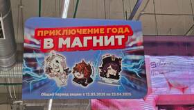 Как использовать промокод Магнит в Трейдинг Онлайн