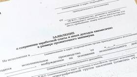 Как написать заявление приставам о сохранении прожиточного минимума в Трейдинг Онлайн