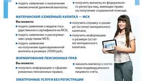 Как оформить льготный проезд через Госуслуги в Трейдинг Онлайн