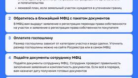 Как оформить межевание земельного участка через МФЦ в Трейдинг Онлайн