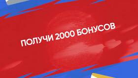 Как отдать бонусы Спортмастер в Трейдинг Онлайн