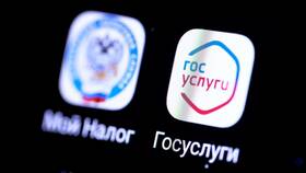 Как получить налоговый вычет через Госуслуги в Трейдинг Онлайн
