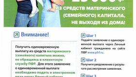 Как получить выплаты от Пенсионного фонда России (ПФР) в Трейдинг Онлайн