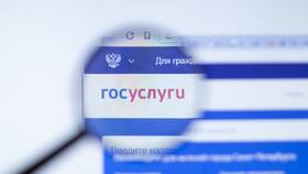 Как поменять ИНН через Госуслуги в Трейдинг Онлайн