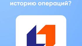 Как посмотреть историю операций по карте МИР в Трейдинг Онлайн