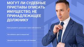 Как происходит опись имущества судебным приставом в Трейдинг Онлайн