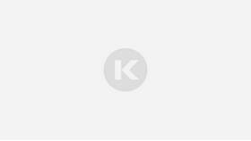 Как узнать КПП юридического лица: способы и инструкции в Трейдинг Онлайн