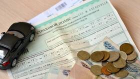 Как выглядит страховой полис: визуальное описание в Трейдинг Онлайн