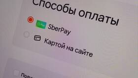 Как заказывать в Додо бесплатно: проверенные способы в Трейдинг Онлайн