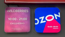 Мошенничество на Ozon: как распознать и защититься в Трейдинг Онлайн