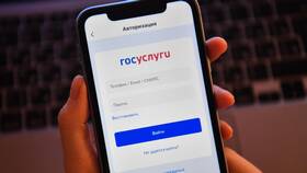 Почему Госуслуги не видят СНИЛС в Трейдинг Онлайн