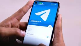 Почему на иконке Telegram нет уведомлений в Трейдинг Онлайн