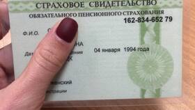 Полис СНИЛС: что это в Трейдинг Онлайн