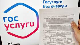 Сроки оформления временной регистрации через Госуслуги в Трейдинг Онлайн