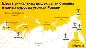 Текущая ситуация с платежами в Билайн в Трейдинг Онлайн